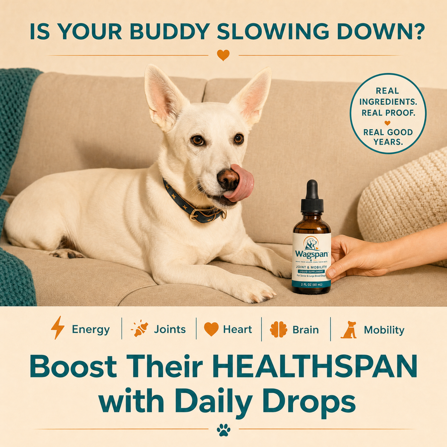 Wagspan Joint & Mobility