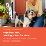 Daily joint support for senior dogs
