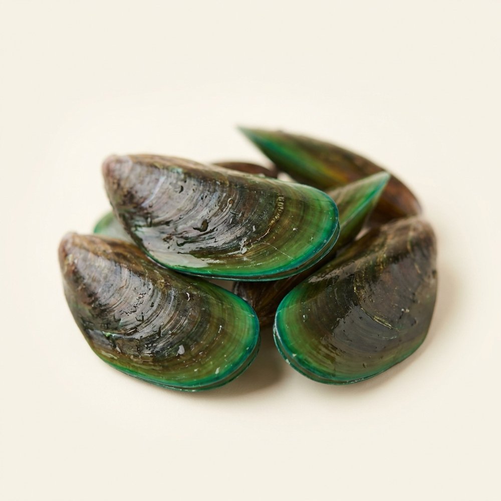 Green-lipped mussel